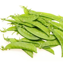 2021 New Harvest Hot Selling Good Chinese Fresh Green Snow Pea